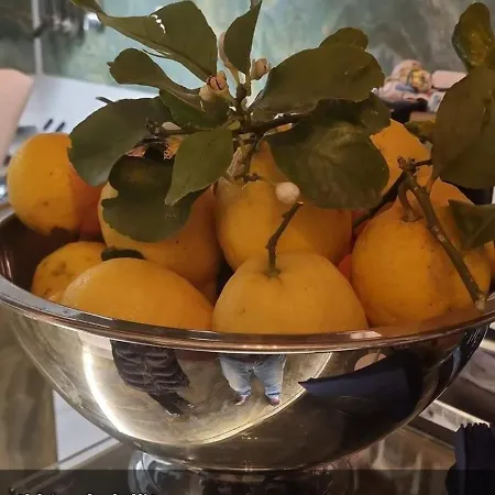 Appartement Candy Candy House *